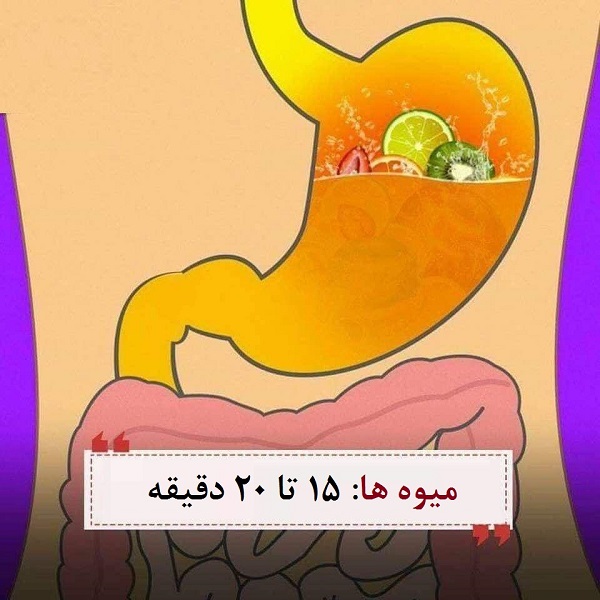 میوه