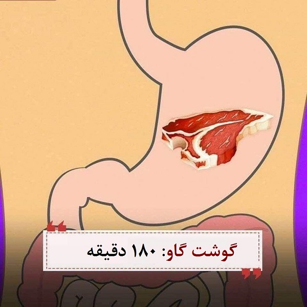 گوشت